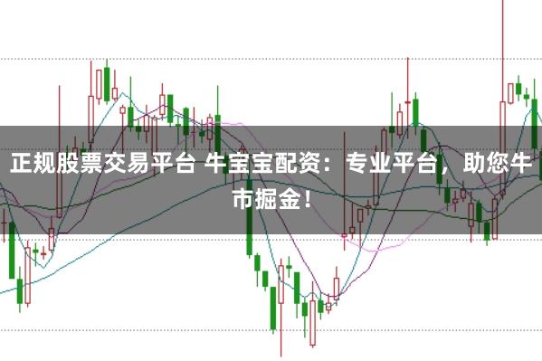 正规股票交易平台 牛宝宝配资：专业平台，助您牛市掘金！